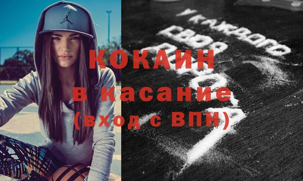крисы Абаза