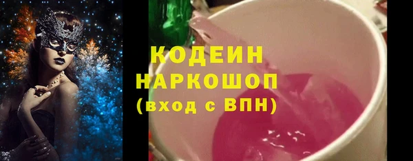 крисы Абаза