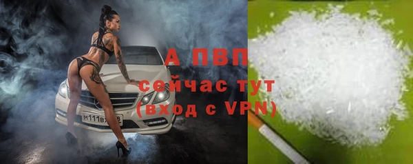 крисы Абаза
