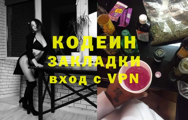 крисы Абаза