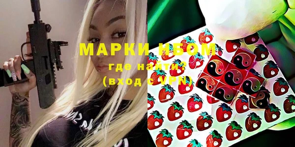 крисы Абаза