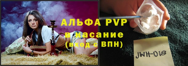 крисы Абаза
