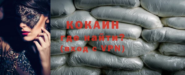 крисы Абаза