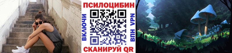 даркнет как зайти  KRAKEN ссылка  Яхрома  Псилоцибиновые грибы мицелий 